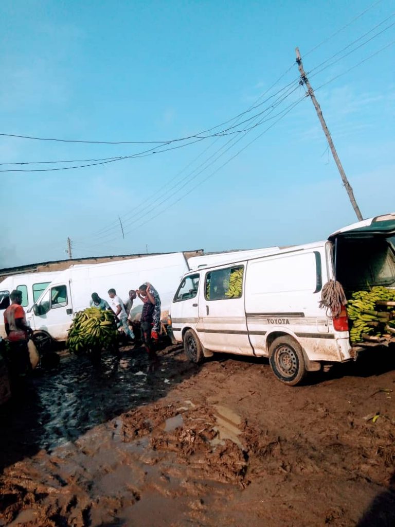 Fruit vans at Zuba Market