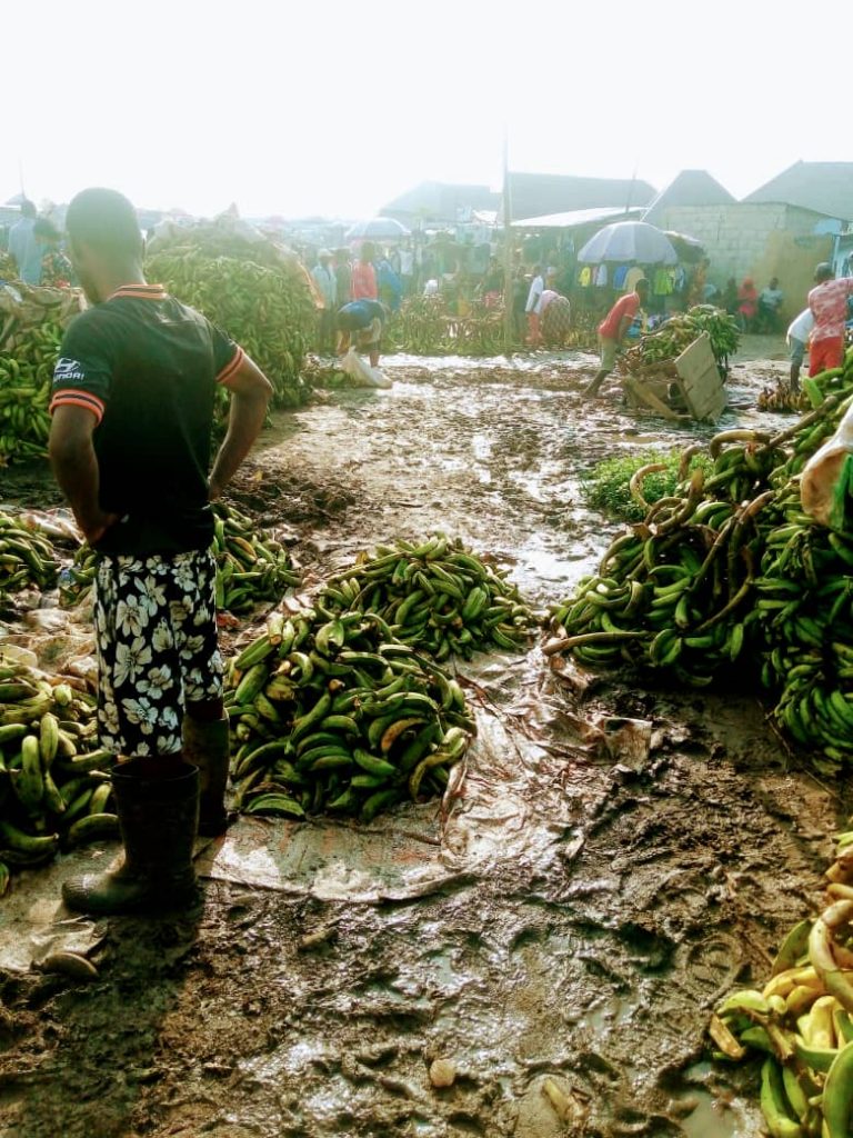 Muddy Zuba Market